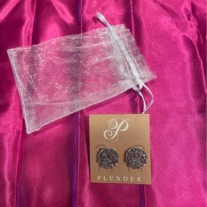 💕NWT Plunder earnings 💕